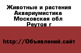 Животные и растения Аквариумистика. Московская обл.,Реутов г.